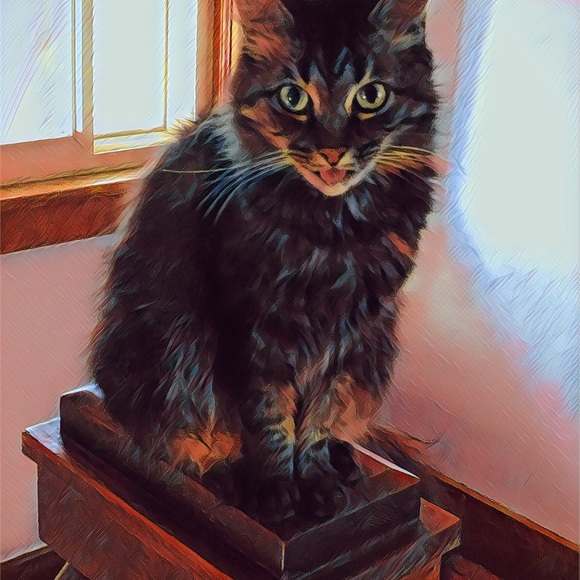 Meet your Posher, Courtney - Picture 9 of 11